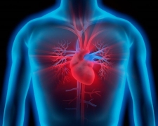 Herzinsuffizienz - Was muss ich in der Praxis wissen?